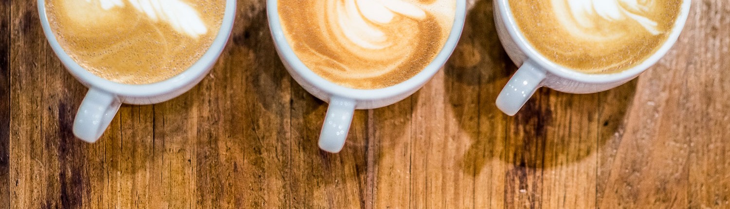 cafetotal-noticias